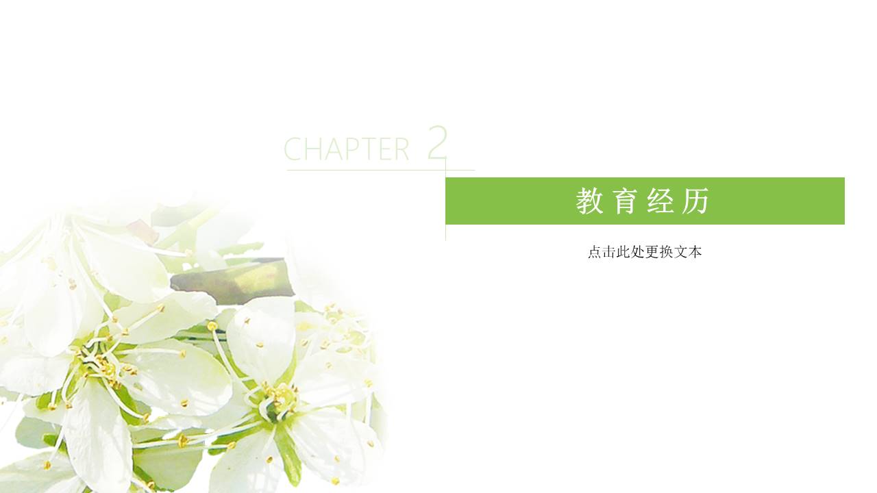 个人简历 (17).pptx